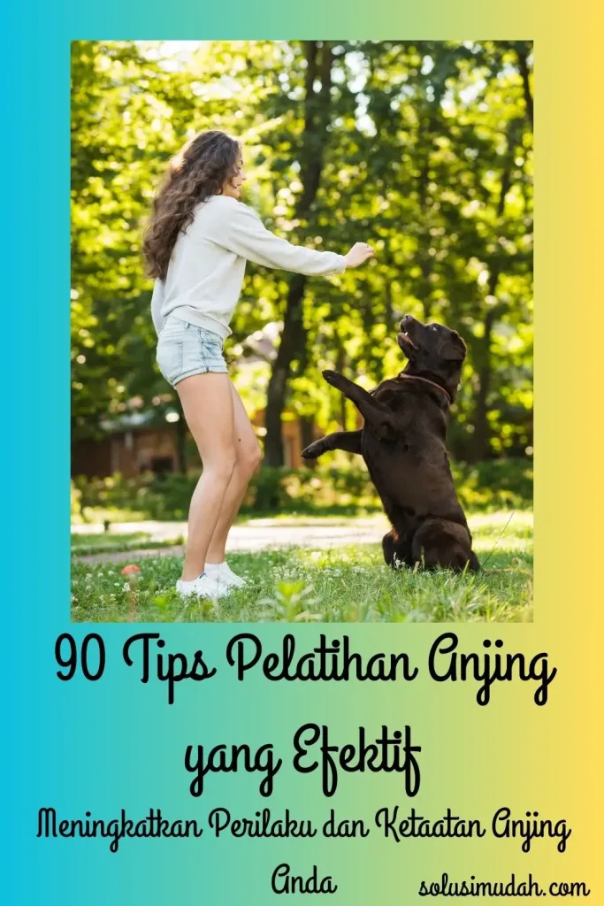 90 Tips Pelatihan Anjing yang Efektif Meningkatkan Perilaku dan Ketaatan Anjing Anda