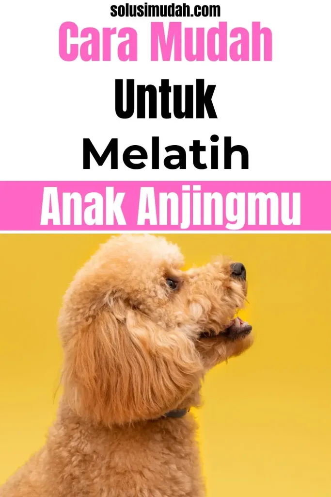 Cara-Mudah-Melatih-Anak-Anjingmu-683x1024 Cara Mudah Melatih Anak Anjingmu