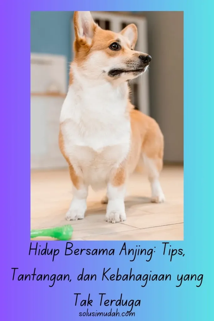 Hidup Bersama Anjing Tips, Tantangan, dan Kebahagiaan yang Tak Terduga