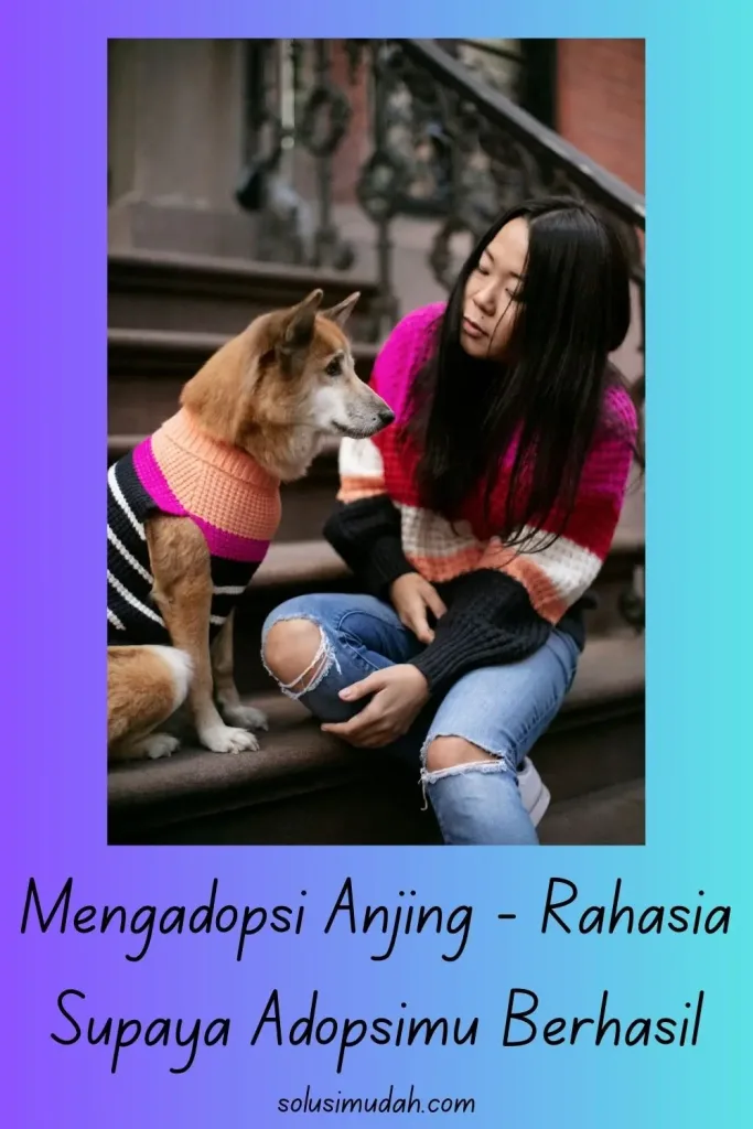 Mengadopsi-Anjing-Rahasia-Supaya-Adopsimu-Berhasil-683x1024 Mengadopsi Anjing - Rahasia Supaya Adopsimu Berhasil