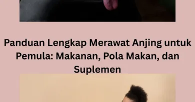 Panduan Lengkap Merawat Anjing untuk Pemula Makanan, Pola Makan, dan Suplemen