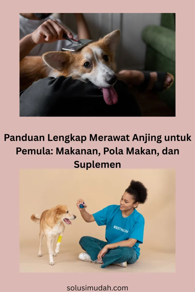 Panduan-Lengkap-Merawat-Anjing-untuk-Pemula-Makanan-Pola-Makan-dan-Suplemen-683x1024 Panduan Lengkap Merawat Anjing untuk Pemula: Makanan, Pola Makan, dan Suplemen