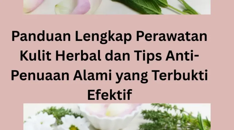Panduan Lengkap Perawatan Kulit Herbal dan Tips Anti-Penuaan Alami yang Terbukti Efektif