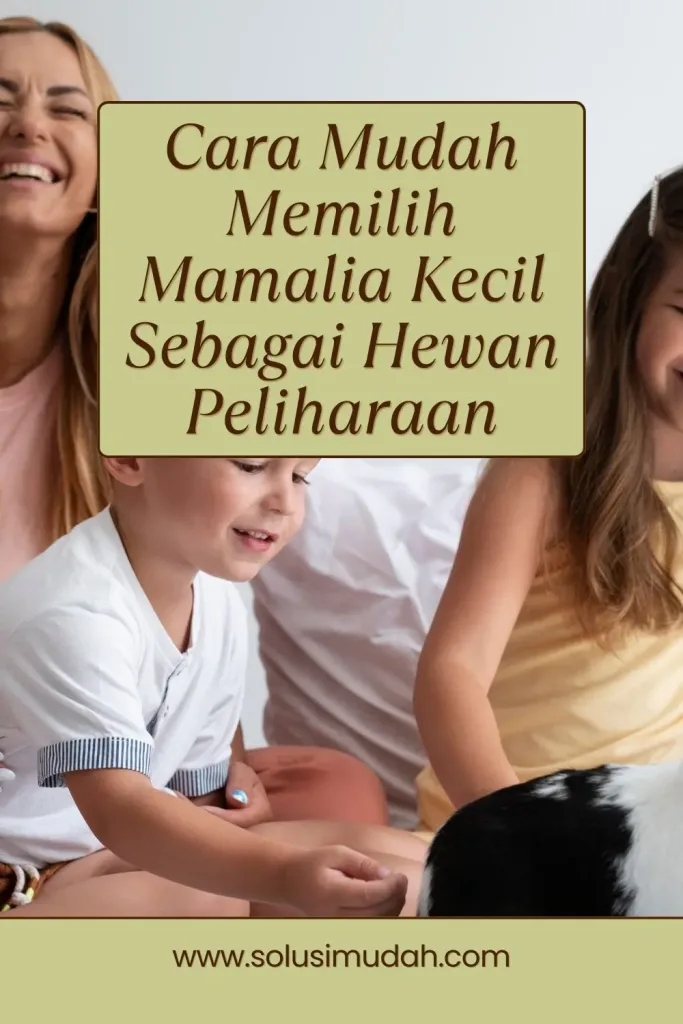 Cara-Mudah-Memilih-Mamalia-Kecil-Sebagai-Hewan-Peliharaan-683x1024 Cara Mudah Memilih Mamalia Kecil Sebagai Hewan Peliharaan