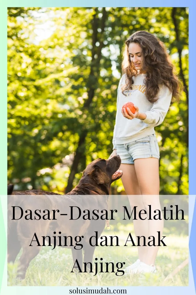 Dasar-Dasar-Melatih-Anjing-dan-Anak-Anjing-683x1024 Dasar-Dasar Melatih Anjing dan Anak Anjing