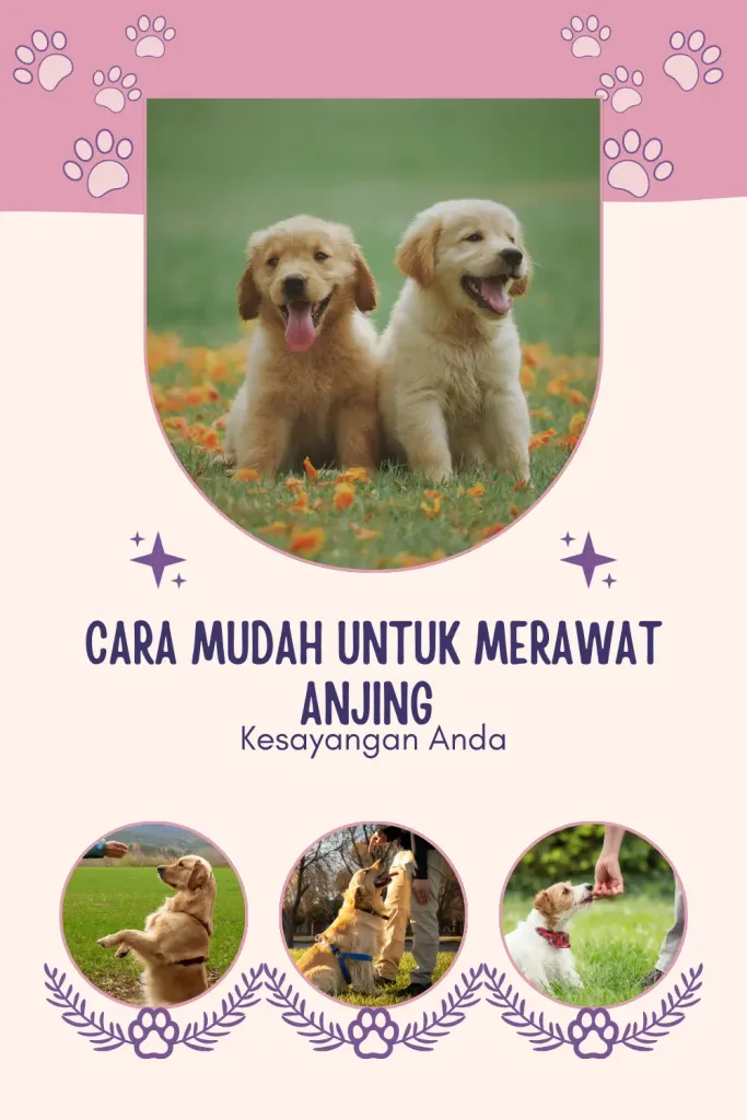 Cara-Mudah-Untuk-Merawat-Anjing-Kesayangan-Anda-683x1024 Cara Mudah Untuk Merawat Anjing Kesayangan Anda