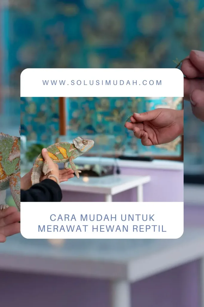 Cara-Mudah-Untuk-Merawat-Hewan-Reptil-683x1024 Cara Mudah Untuk Merawat Hewan Reptil